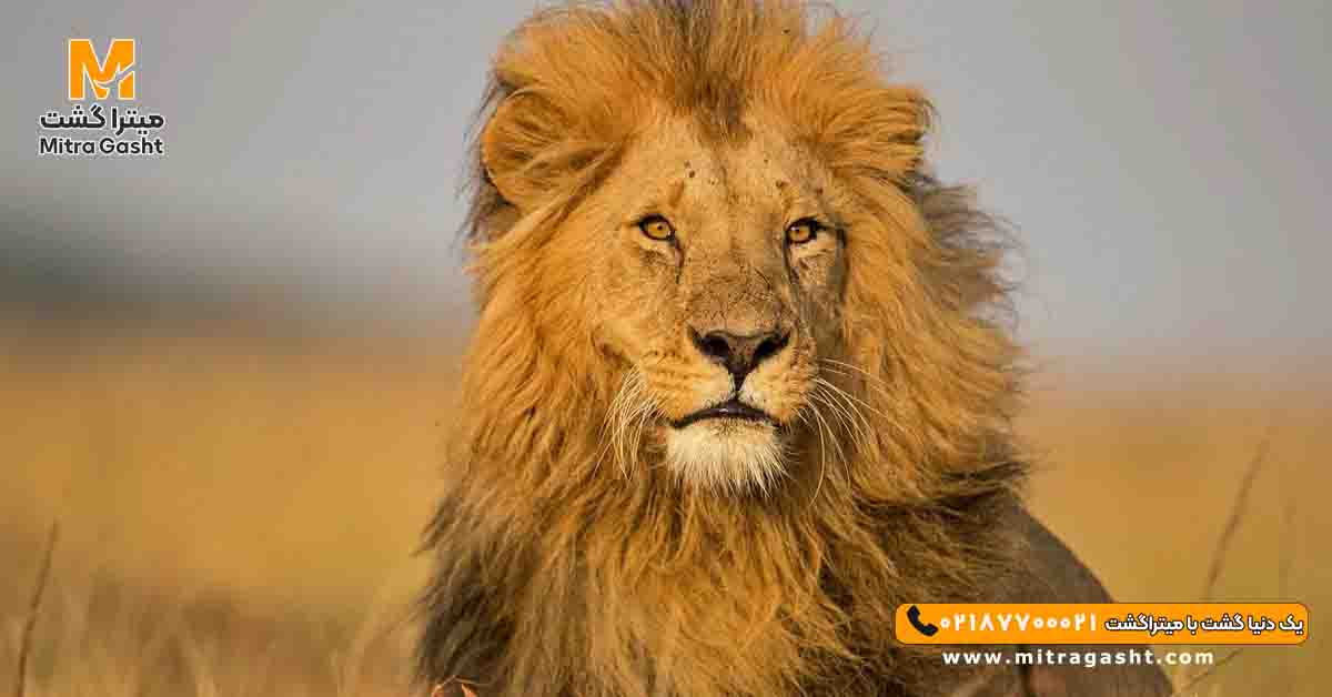 kenya-mitragasht (16).jpg