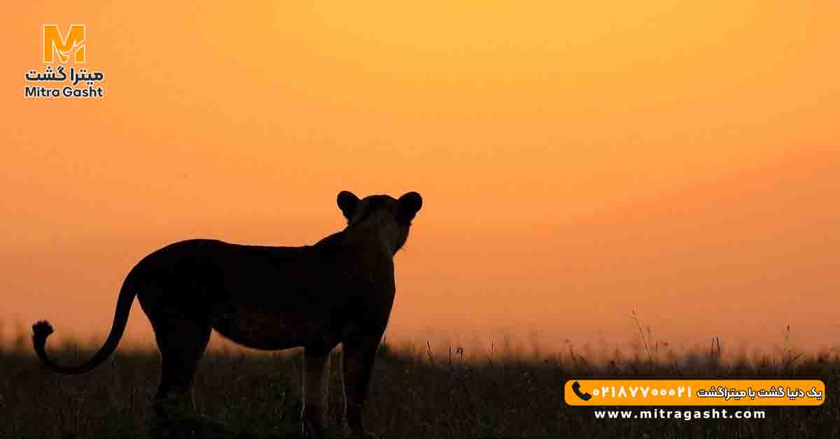 kenya-mitragasht (18).jpg