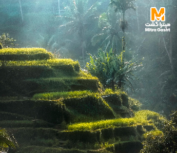 تور کوالالامپور + پنانگ (5شب کوالالامپور + 3 شب پنانگ)