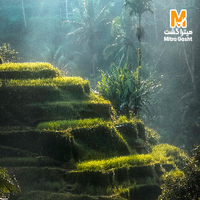 تور کوالالامپور + پنانگ (5شب کوالالامپور + 3 شب پنانگ)