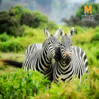 تور کنیا نوروز 1404 (5% تخفیف)