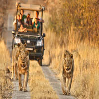 سافاری پارک جنگلی آفریقای جنوبی نوروز ۱۴۰۵